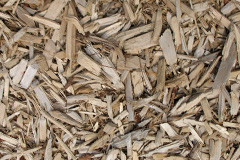 biomass boilers Allanaquoich